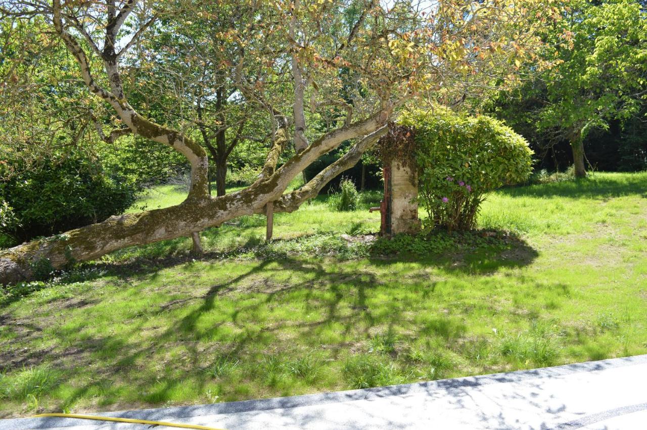 Maison Typique - Tres Grand Jardin - 7Km De La Mer Fontaine-Henry Eksteriør billede